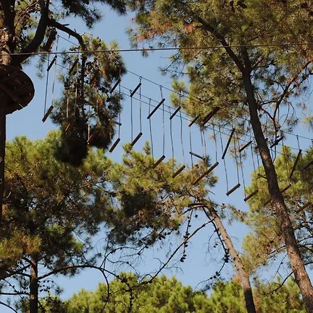 Διαμέρισμα 75-apartment With Views In Elviria,